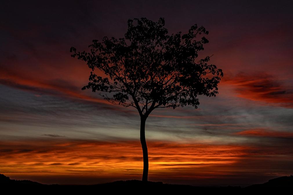 Previsão do tempo para quinta-feira, 13 de fevereiro