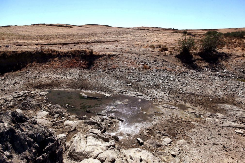 Portugal com 60% do território em seca severa e extrema