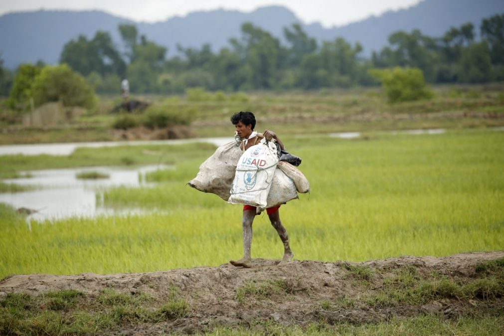 Partido Verde da Austrália pede ao Governo para acolher 20 mil refugiados rohingya