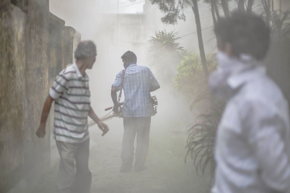 Ministério da Saúde de Moçambique lança programa de prevenção da malária em grávidas