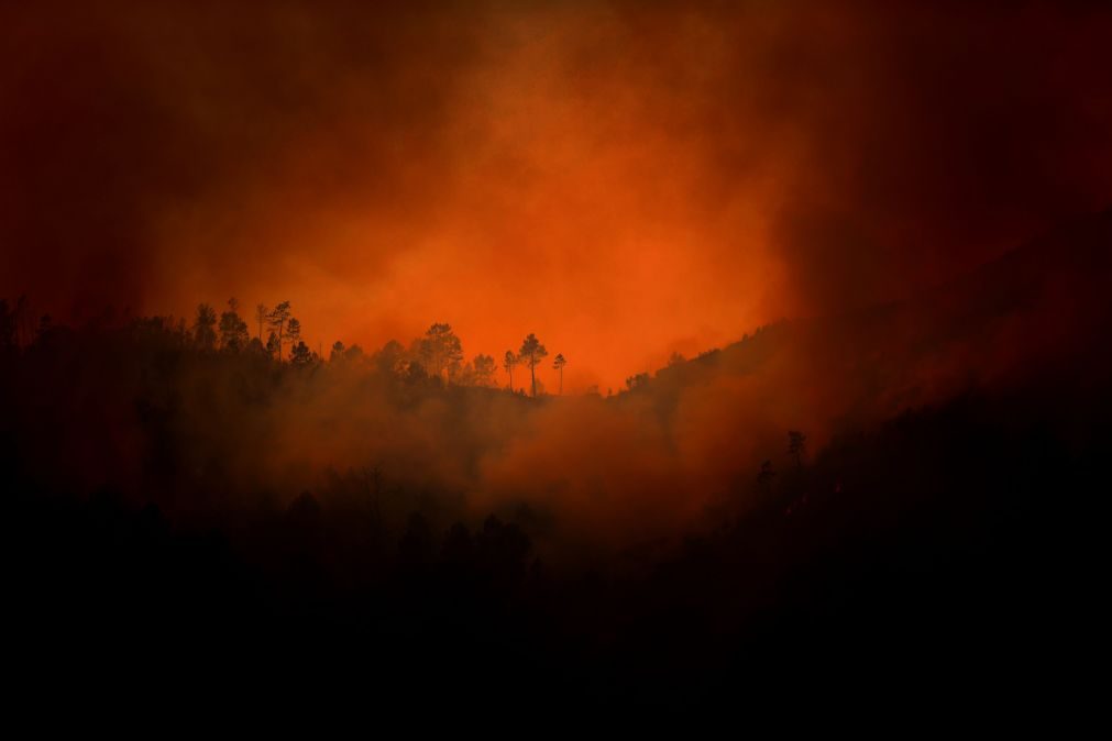 137 detidos pelo crime de incêndio desde o início do ano, mais do dobro do que em 2016