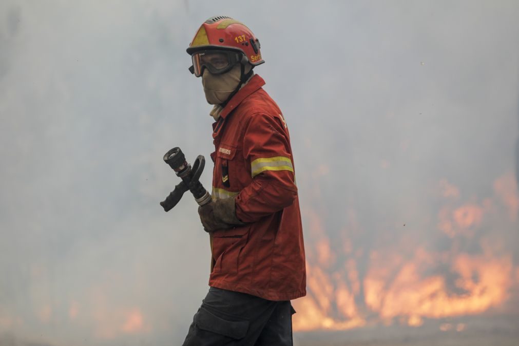 Fogo que começou junto à Universidade do Algarve alastrou a Almancil