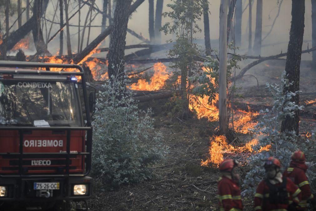 Três famílias desalojadas e um bombeiro ferido no fogo em Alvaiázere