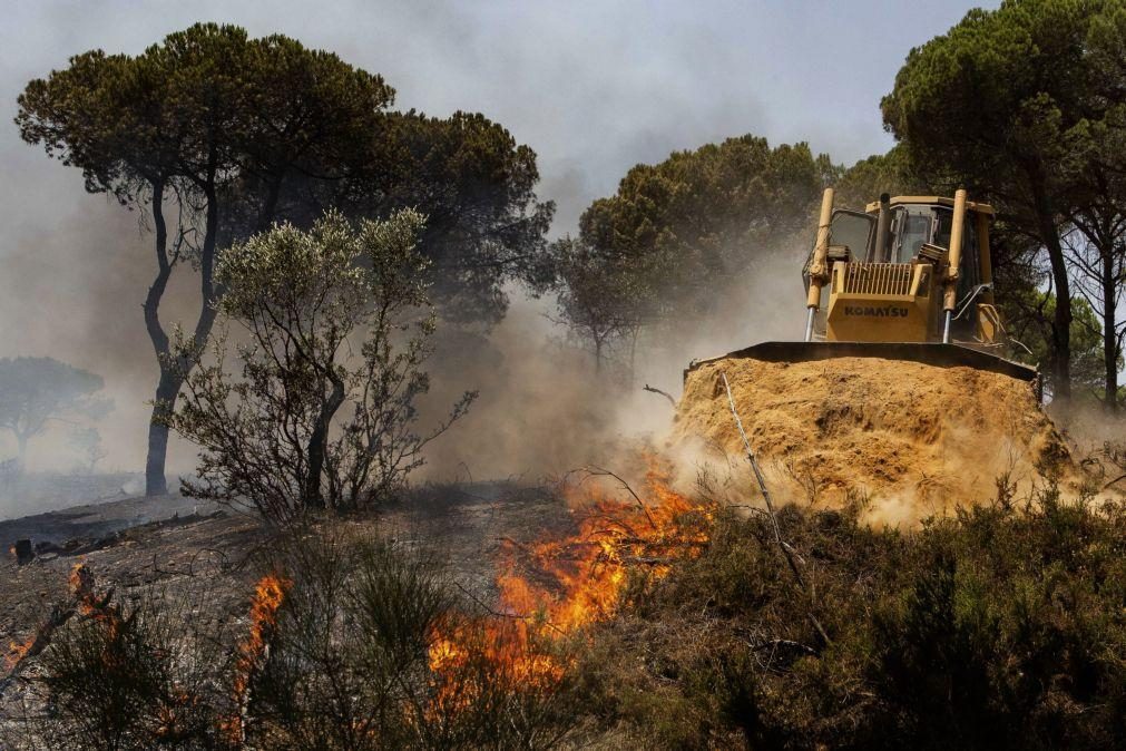 Situação quanto a incêndios continua a ser extrema