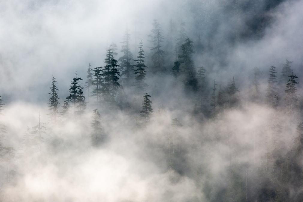 Previsão do tempo para sábado aponta para menos calor e neblina