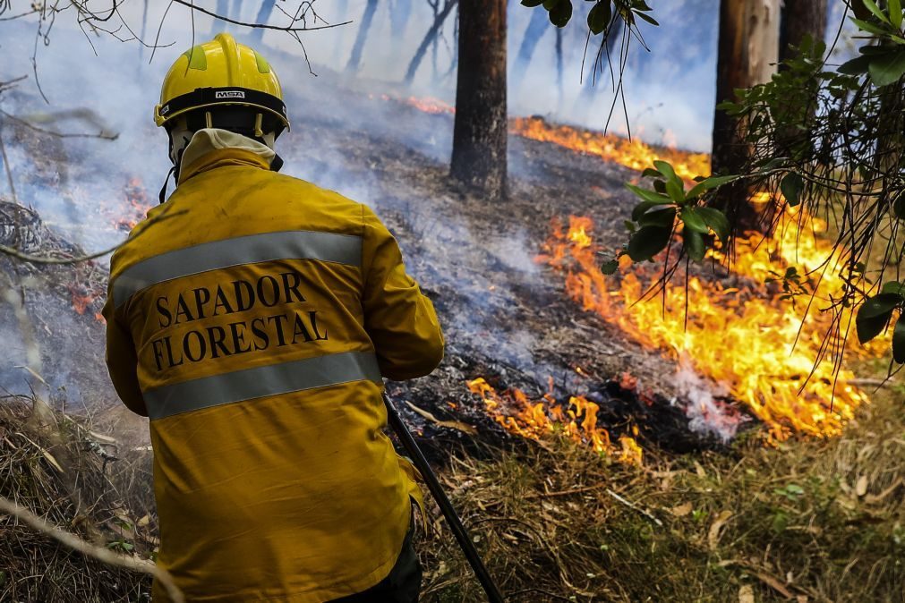 Incêndios: Governo decide no domingo se prolonga situação de contingência