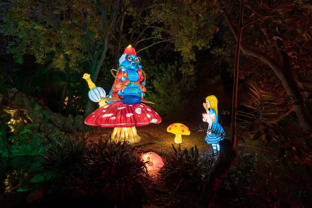 Magical Garden está de regresso ao Jardim Botânico do Porto [com vídeo e fotos]