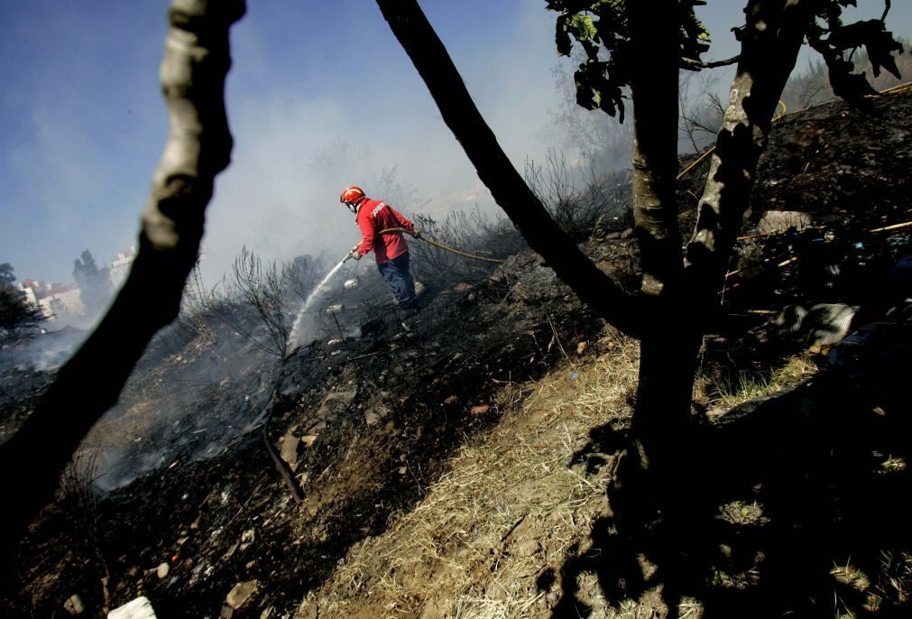 Fogo nas Caldas da Rainha dado como dominado às 04h25