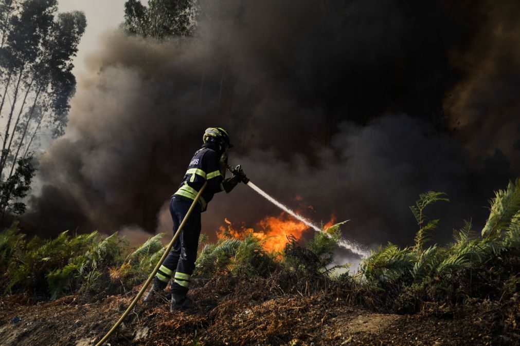 Mais de 70 concelhos em risco máximo de incêndio