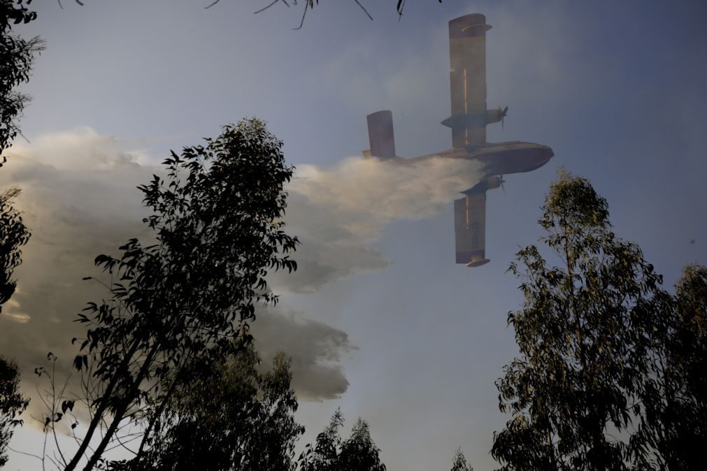 Grécia envia dois aviões pesados anfíbios para Portugal