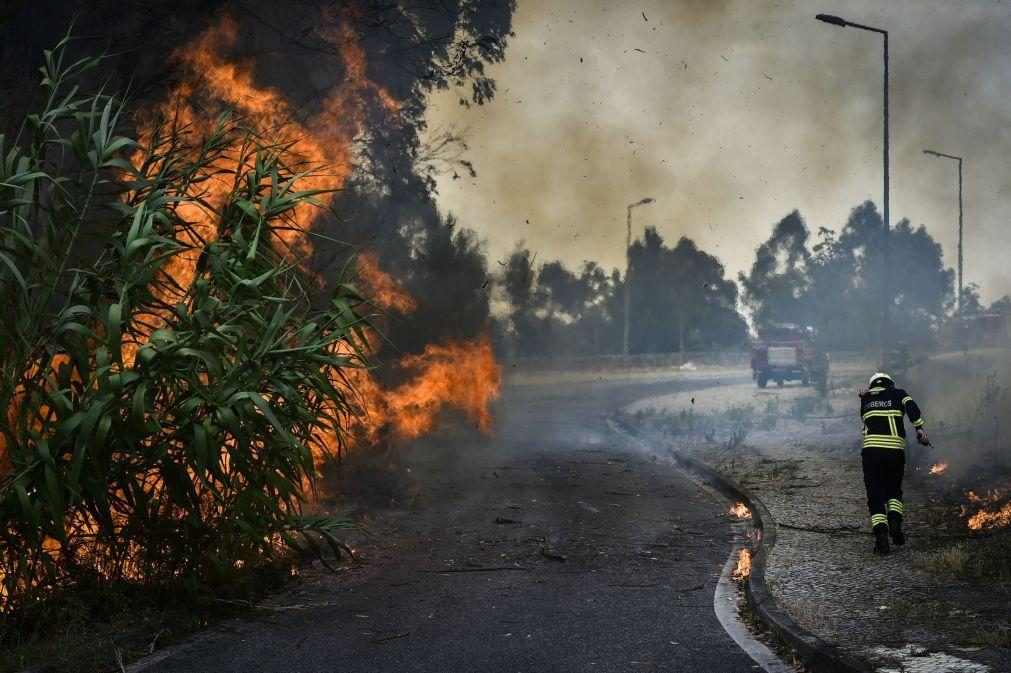 Mais de 100 bombeiros e 3 meios aéreos combatem fogo florestal na Caparica e Trafaria