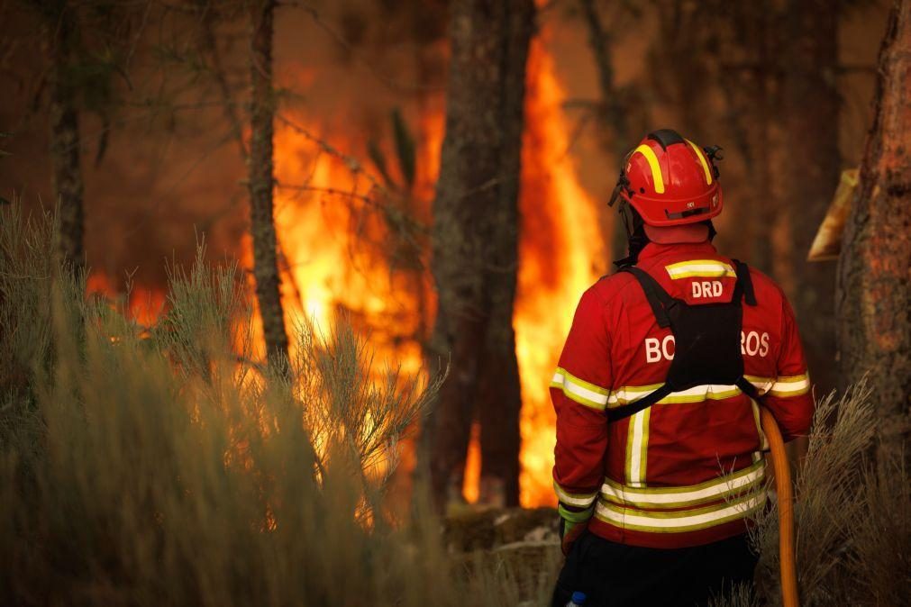 Incêndio na Senhora da Graça combatido por 246 homens, 74 viaturas e 1 avião