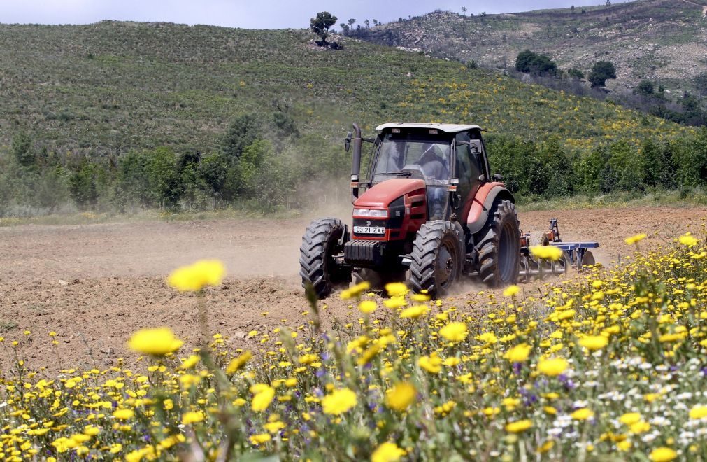 Ministério compromete-se a pagar hoje 51 ME a agricultores