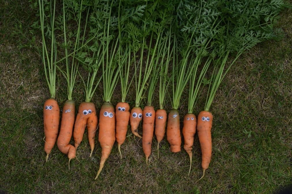 Vegetarianos são mais propensos à depressão do que os carnívoros