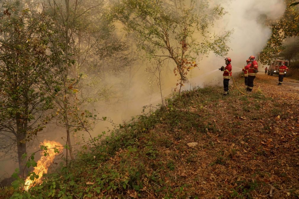 Incêndio da Pampilhosa da Serra ainda com quatro frentes ativas