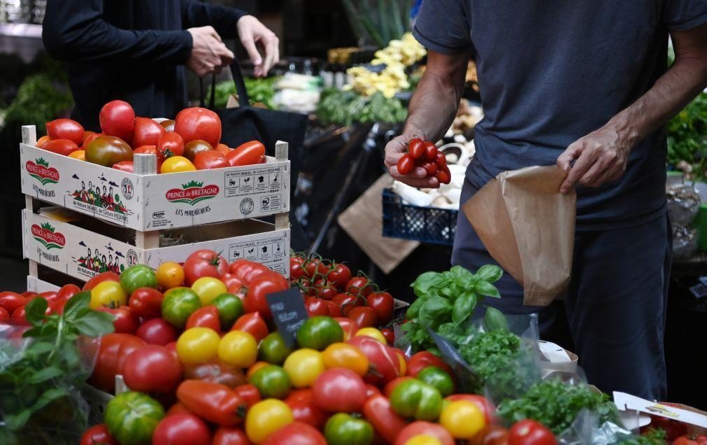 Crise: Bancos alimentares cada vez mais procurados num Reino Unido em crise