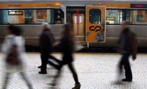 OE2023: Passe ferroviário a 49 euros chega até junho com aprovação de proposta do Livre
