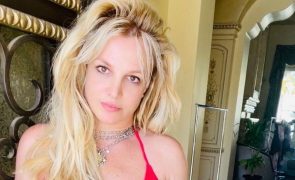 Britney Spears nua na banheira quase que mostra partes íntimas