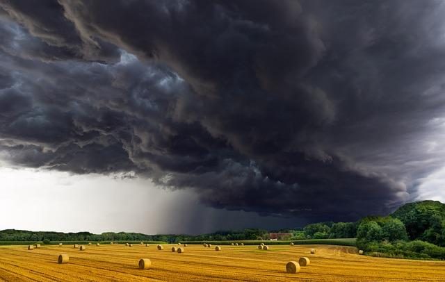 Meteorologia: Previsão do tempo para segunda-feira, 12 de dezembro