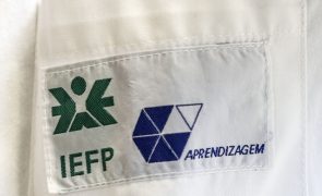 IEFP financia programa-piloto da semana de quatro dias com 350 mil euros