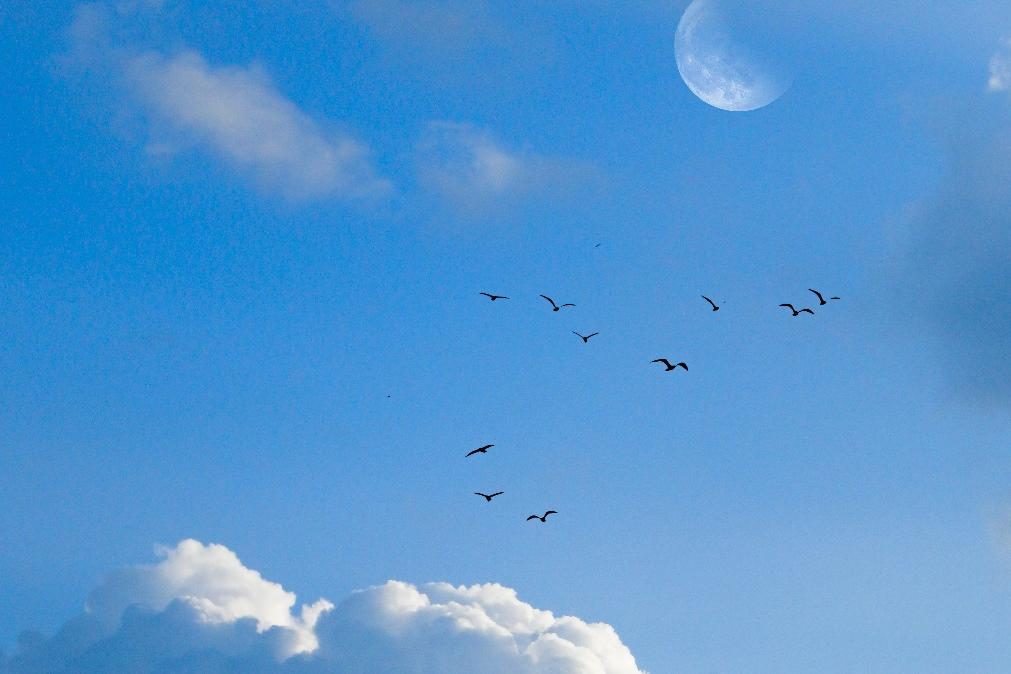 Meteorologia: Previsão do tempo para domingo, 2 de abril