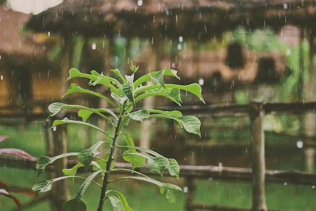 Meteorologia: Previsão do tempo para segunda-feira, 9 de janeiro