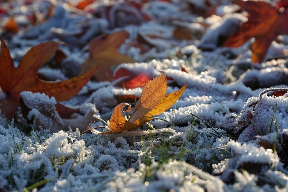 Meteorologia: Previsão do tempo para quinta-feira, 12 de janeiro