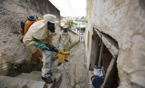 Brasil regista pela primeira vez mais de mil mortes por dengue num ano