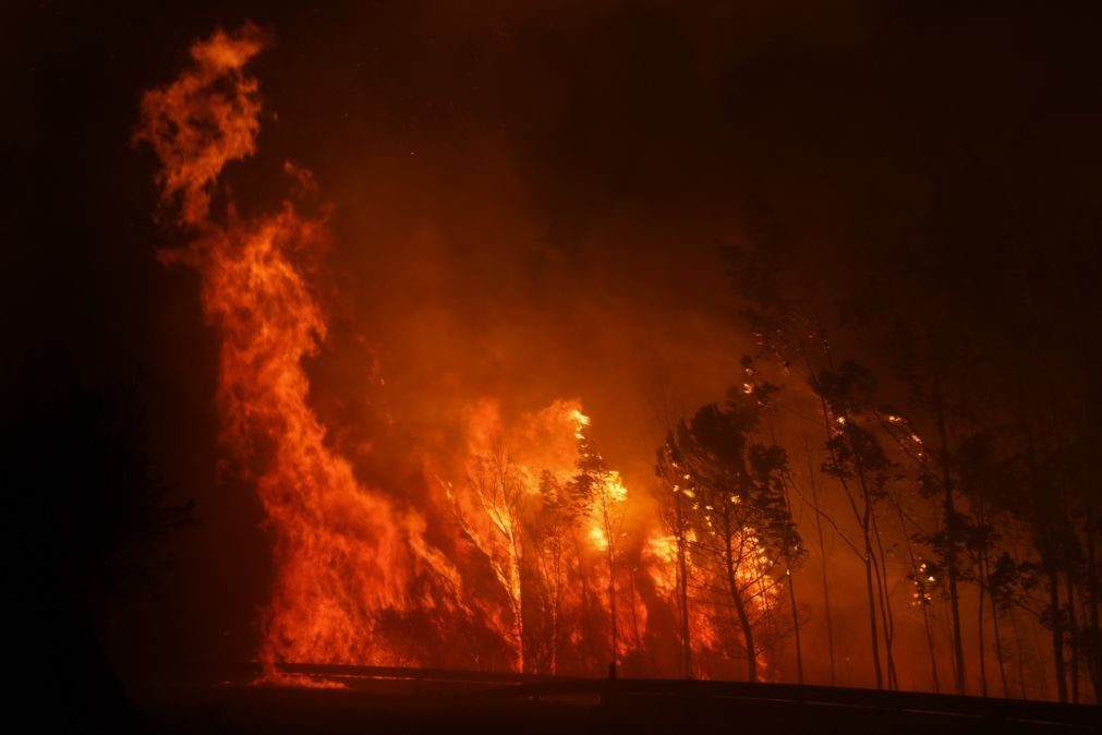 Câmara de Vagos compara incêndios a terrorismo e propõe 