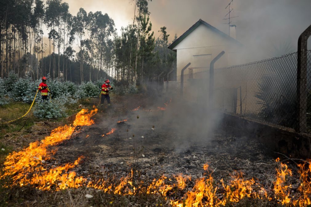 MP arquiva inquérito aos fogos de julho de 2022 no concelho de Leiria