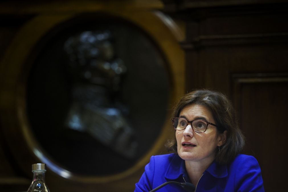 Governo: Questionário não é nenhum teste eliminatório -- Mariana Vieira da Silva