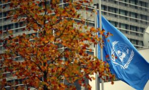 ONU espera mais facilidades para mulheres trabalharem com ONG humanitárias