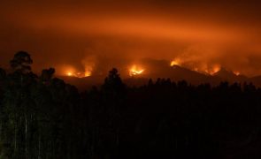 União Europeia preparada para apoiar Chile nas zonas afetadas por incêndios