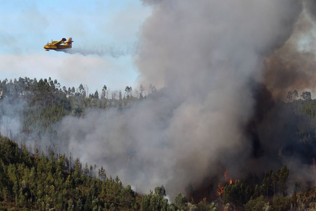 ÚLTIMA HORA INCÊNDIOS: reacendimentos na zona do Pinhal de Leiria