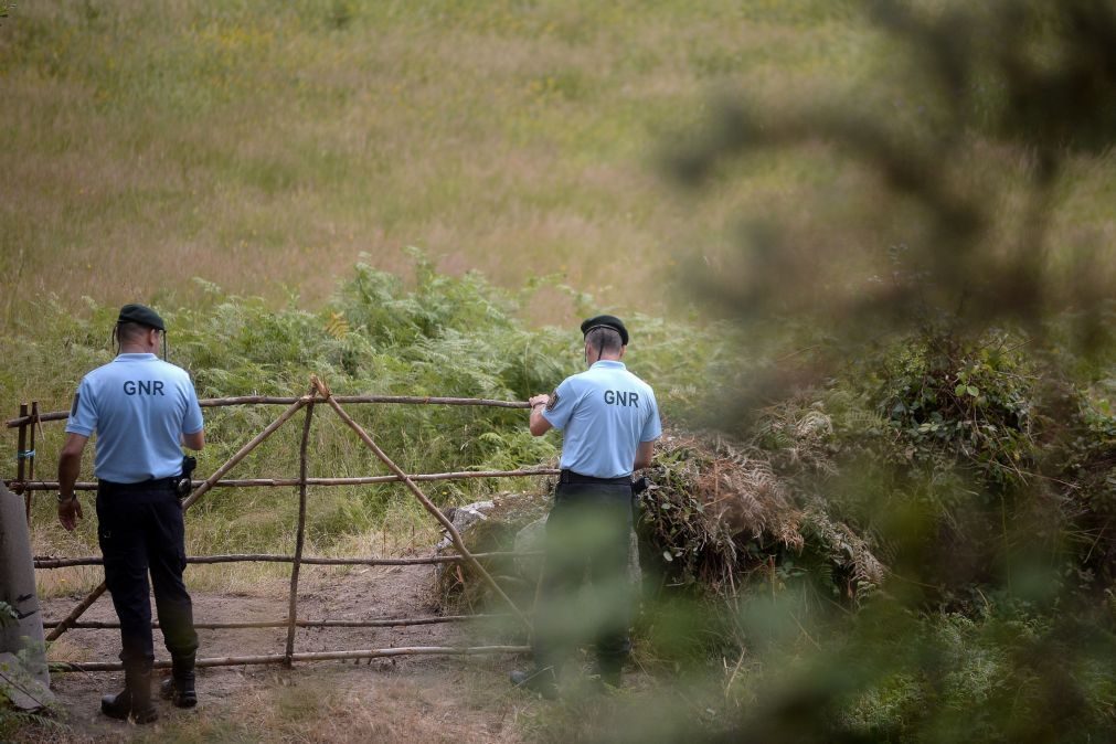 GNR deteve 123 pessoas durante fim de semana, 48 por condução sob efeito do álcool