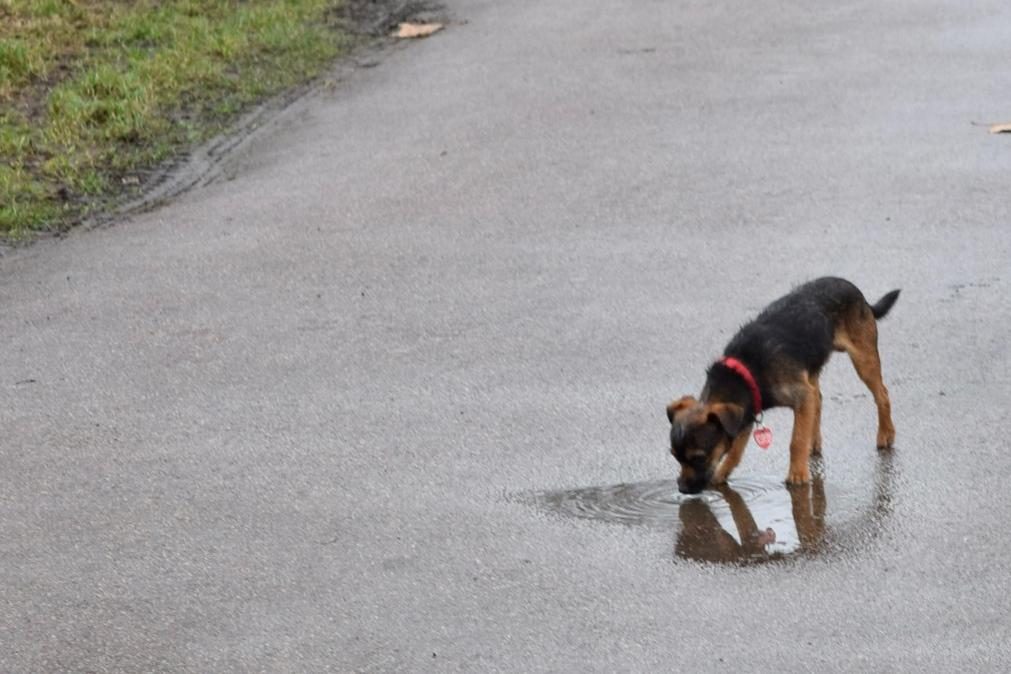 Sexta-feira com mais frio e regresso da chuva