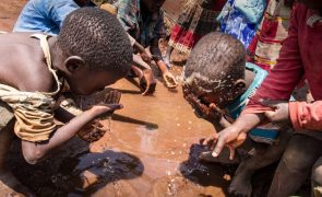 UNICEF pede ajuda internacional para combater cólera no Maláui que ameaça crianças subnutridas