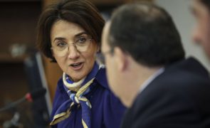 Mau tempo: Apoios aos agricultores podem avançar a qualquer momento