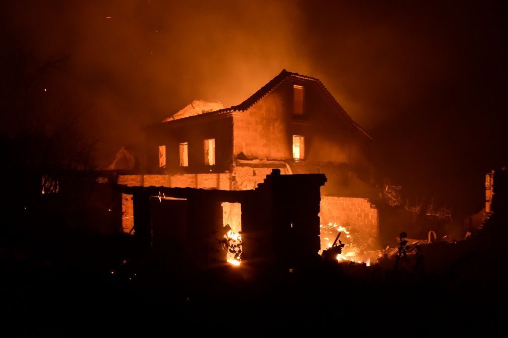 Danos do incêndio no concelho de Tondela rondam os 30 milhões de euros