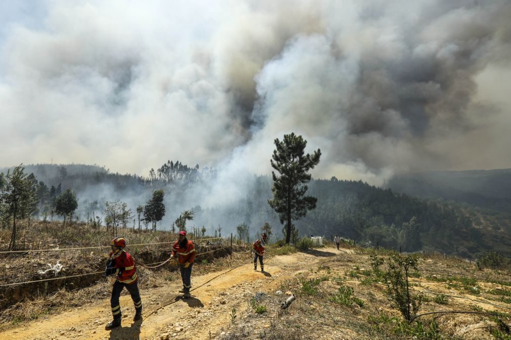 Sete concelhos de Guarda, Castelo Branco, Portalegre e Faro em risco máximo de incêndio