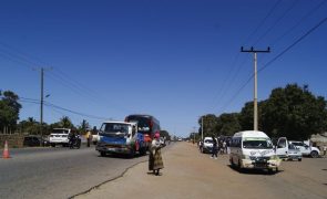 Moçambique/Ataques: ONG critica demora no inquérito a queima de cadáveres de alegados insurgentes