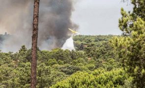Perigo máximo de incêndio no Algarve e muito elevado no interior Norte e Centro
