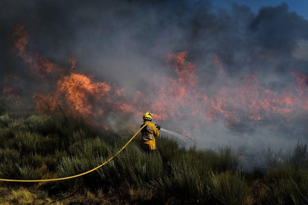 Mais de 20 concelhos de quatro distritos em perigo máximo de incêndio