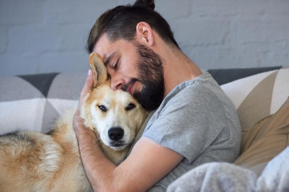 Saiba por que nunca deve abraçar o seu cão