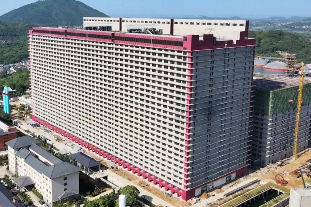 Maior pocilga do mundo abriga 650 mil porcos para abate
