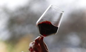 Produtores de vinho de Setúbal voltam a investir na promoção em Angola sete anos depois