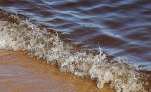 Aumento de bactérias marinhas nas praias coloca em perigo a saúde pública - investigador