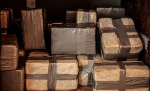 Pelo menos 41 toneladas de droga apreendidas em Portugal este ano