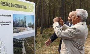 António Costa adverte que reforma estrutural da floresta é 
