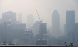 Incêndios no Canadá batem recorde anual de emissões de carbono